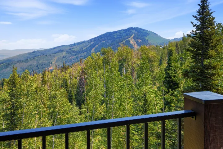 Mountainous landscape with abundant tree coverage