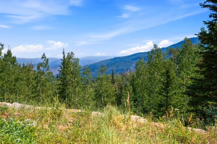 Mountain scenery with expansive tree coverage under a clear sky