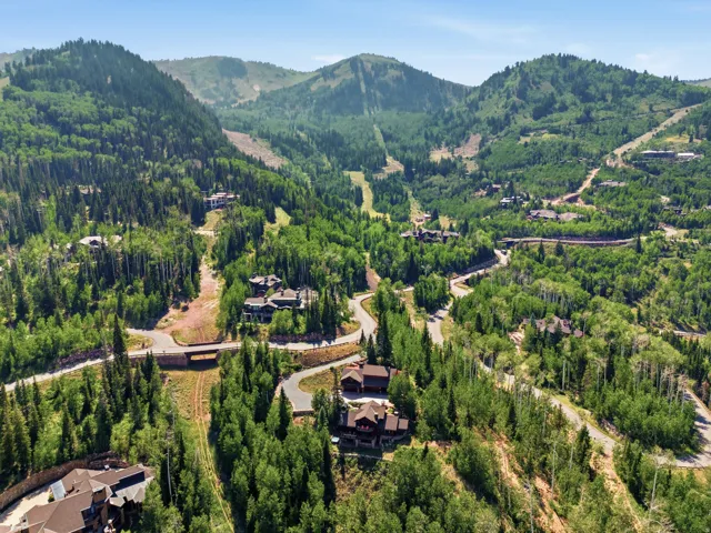 Expansive mountain landscape featuring dense evergreen and deciduous trees, winding paved roads, and multiple residences integrated into the hillside