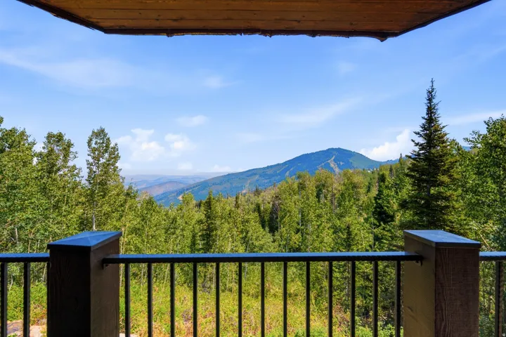 Expansive mountain scenery with a treed backdrop