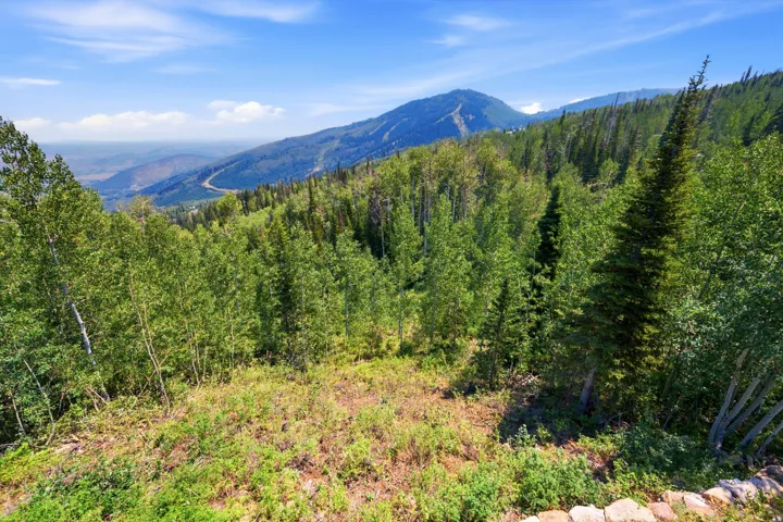 Mountain scenery with expansive tree coverage and distant valley