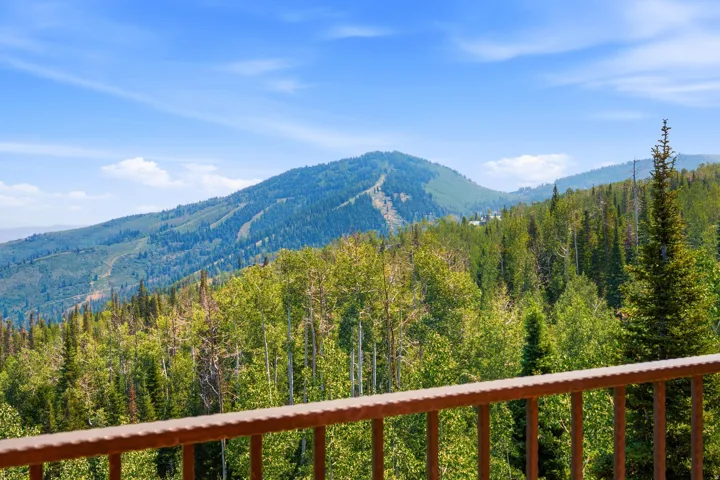 Mountain backdrop featuring dense forest
