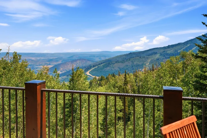 Expansive mountain scenery with a vibrant green tree canopy