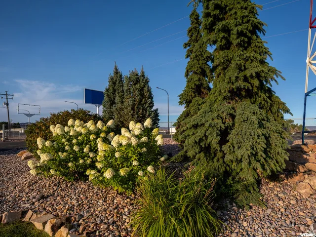Landscaped garden bed featuring a variety of evergreen trees, flowering shrubs, and decorative rockery