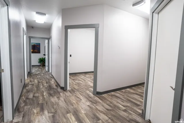 Wood-finish flooring throughout, white walls, and contrasting gray door trim