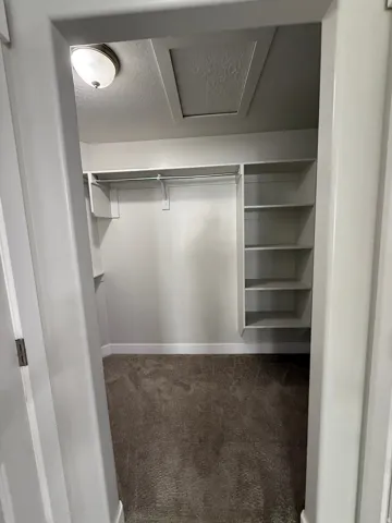 Built-in shelving, hanging rod, neutral wall color, overhead lighting, and carpet flooring