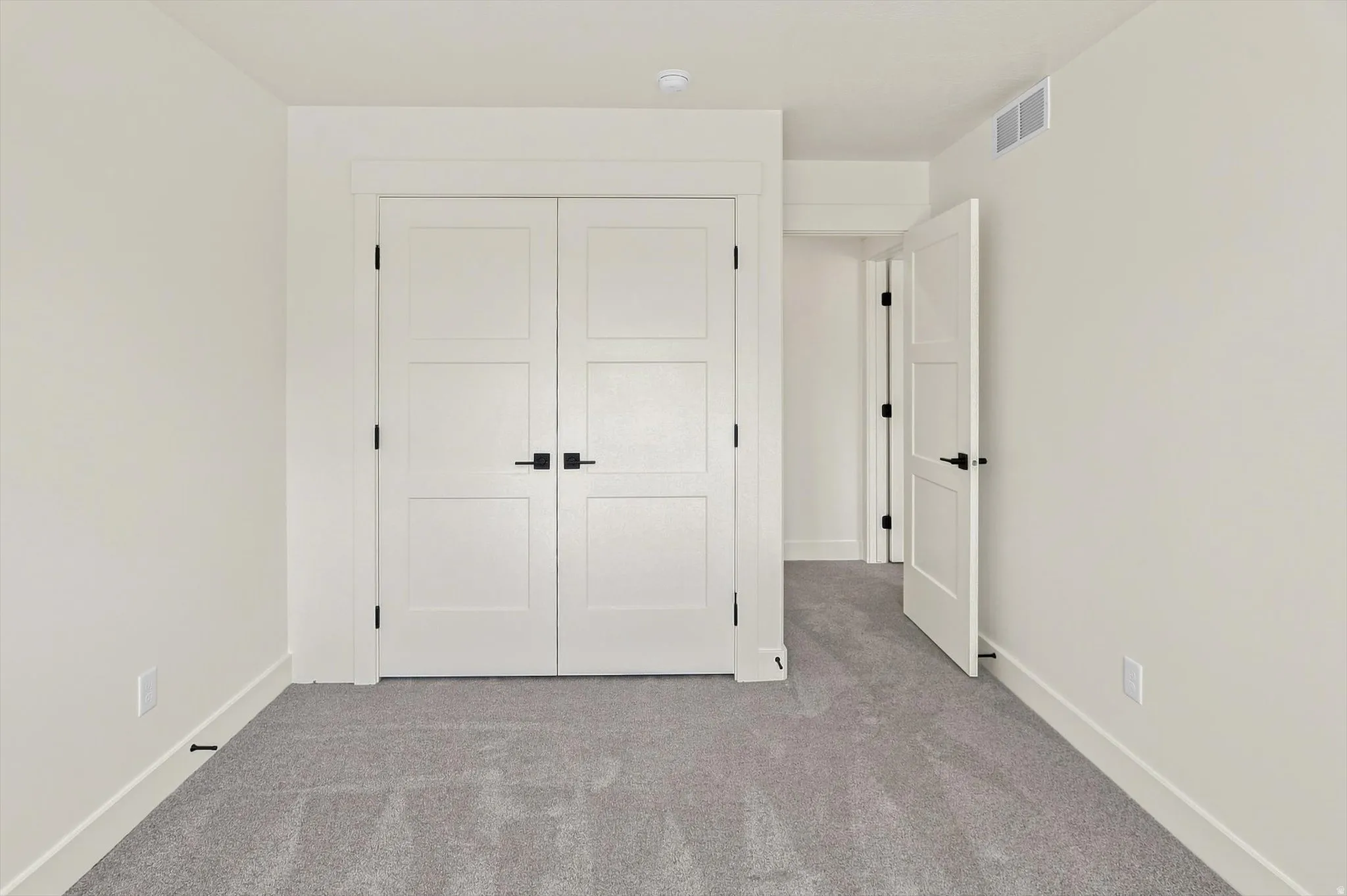 White paneled doors with matte black hardware, light gray carpeting, and white wall finishes