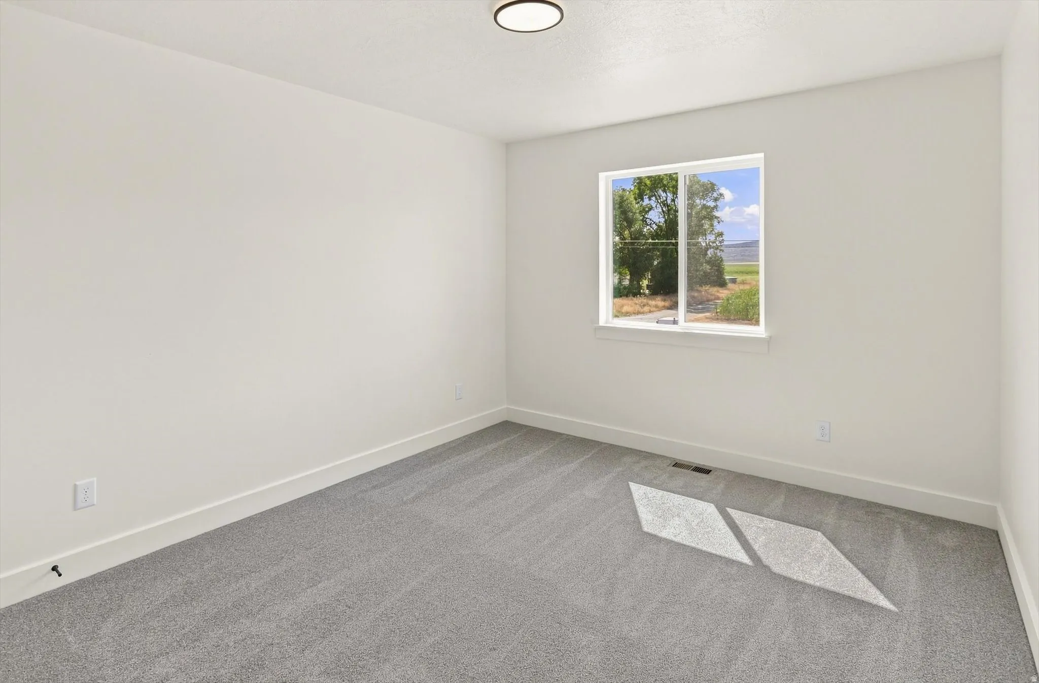 Crisp white walls with modern trim, carpeted flooring, and a contemporary flush-mount ceiling light