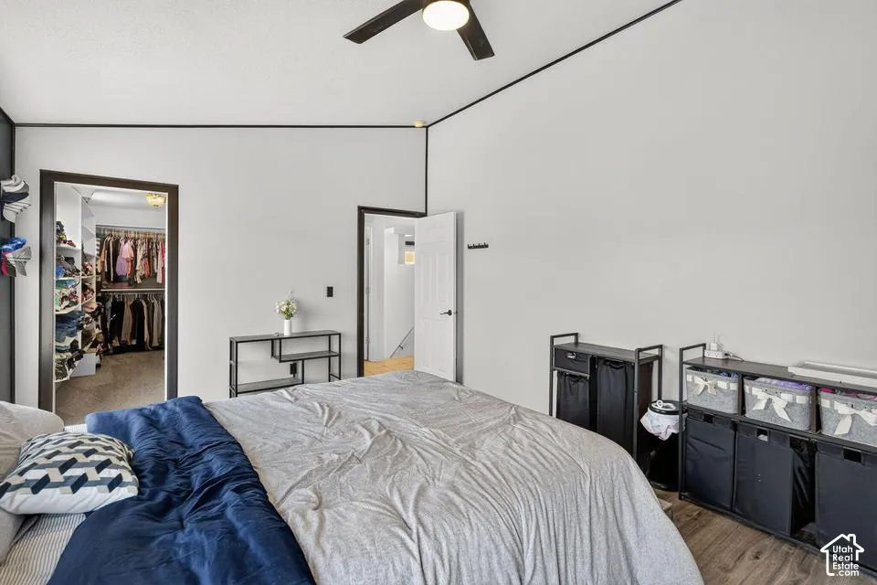 White walls with dark trim, overhead ceiling fan with lighting, wood-finish flooring, and a walk-in closet with built-in shelving