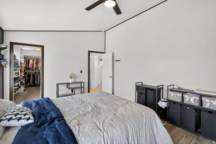 White walls with dark trim, overhead ceiling fan with lighting, wood-finish flooring, and a walk-in closet with built-in shelving
