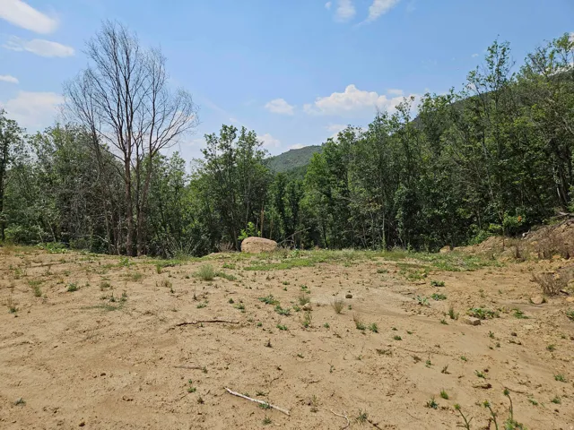 Expansive open land featuring diverse natural foliage and a visible rock formation