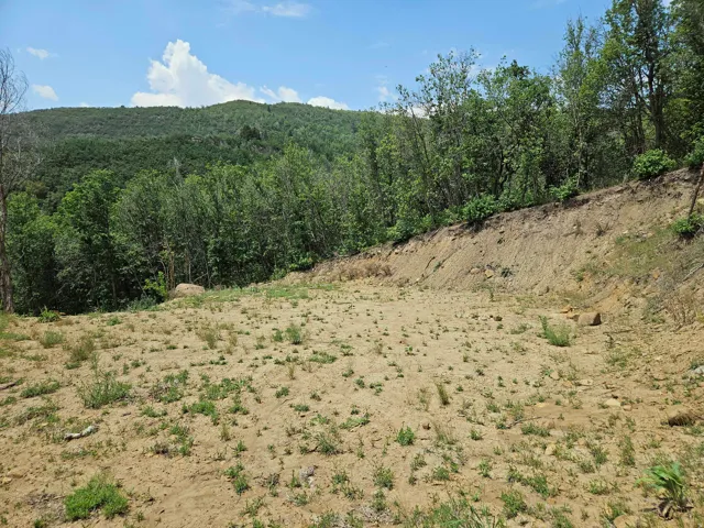 Cleared lot with surrounding mature trees and hillside terrain