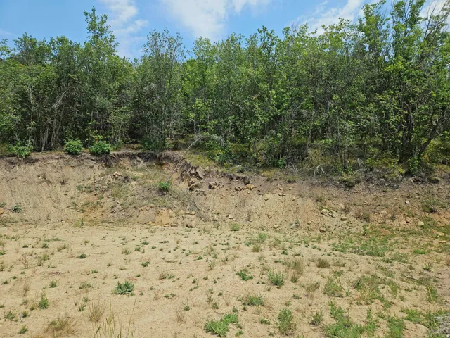 Expansive undeveloped land featuring a mix of mature trees and open soil