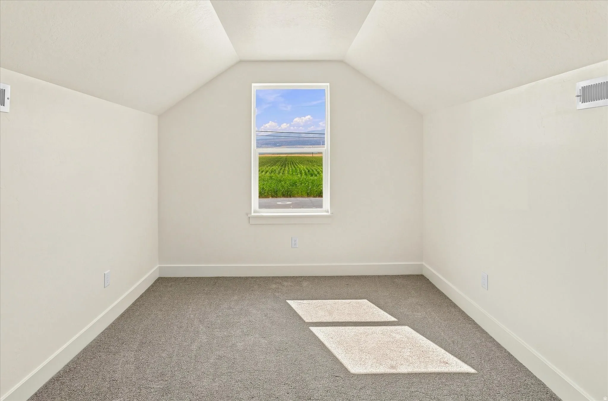Vaulted ceiling, single pane window, neutral wall paint, gray carpet flooring, and white trim
