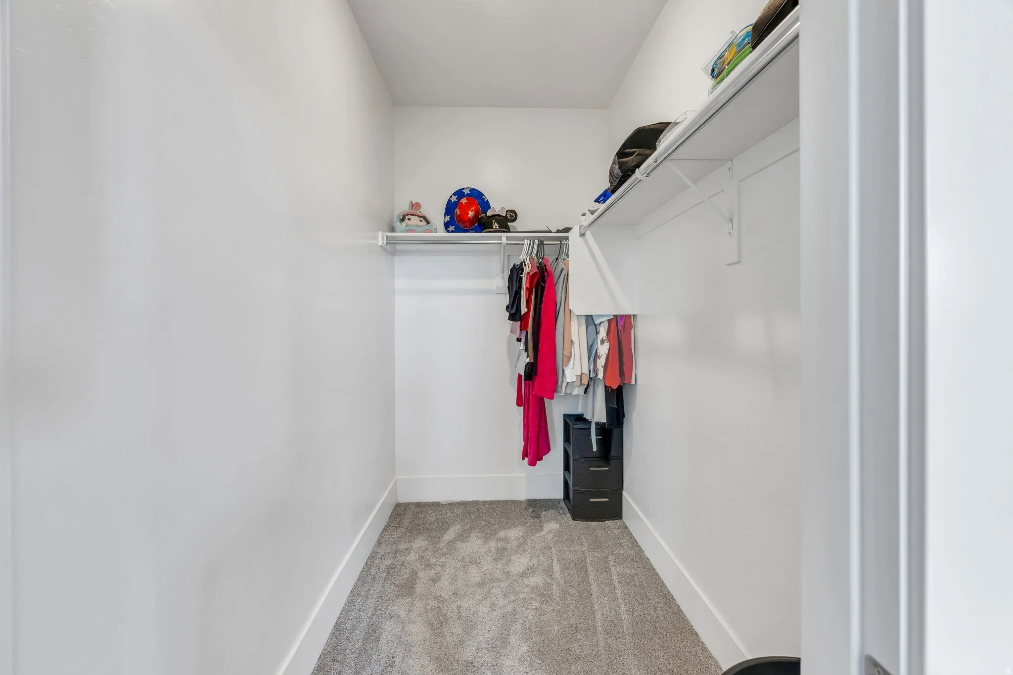Built-in shelving with hanging rods and carpeted flooring