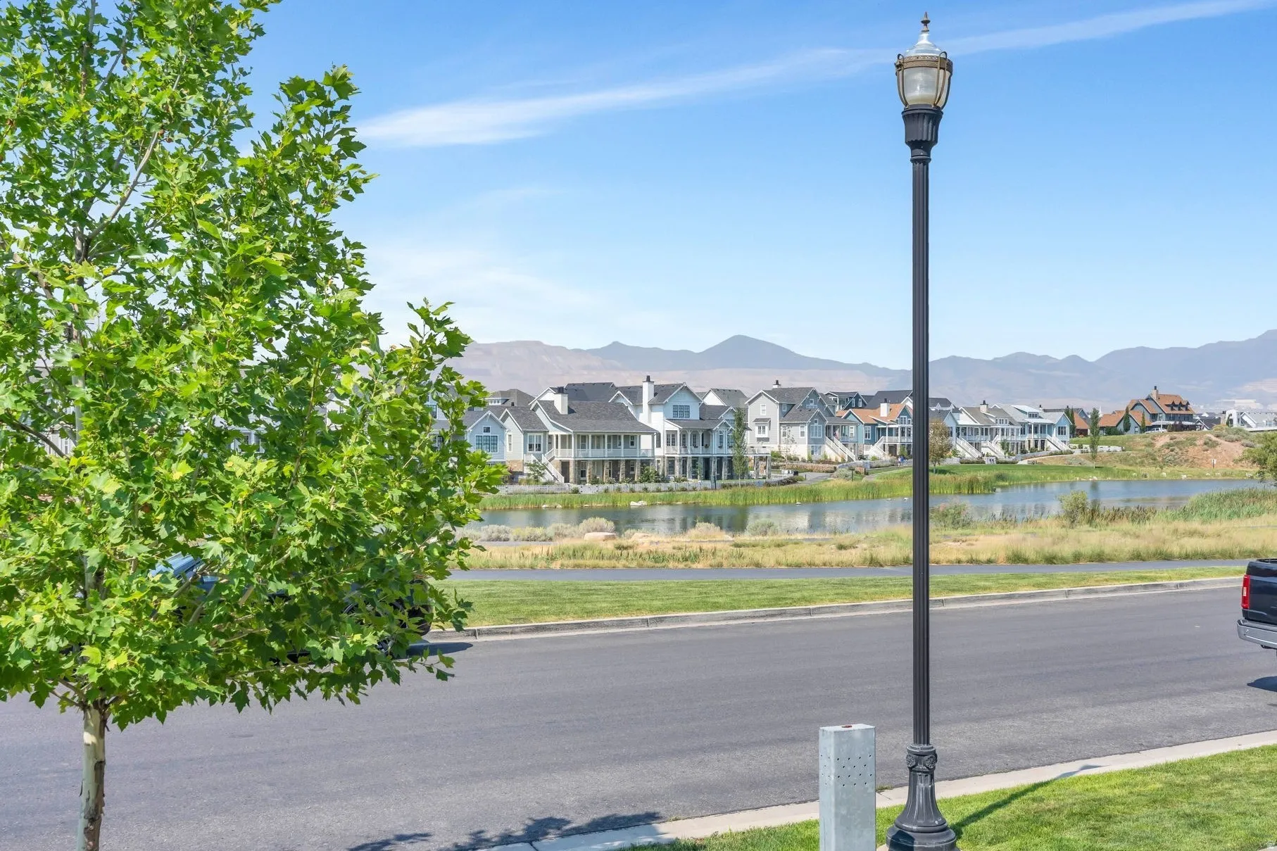Street-level landscaping featuring a mature tree, asphalt roadway, and decorative street lamp