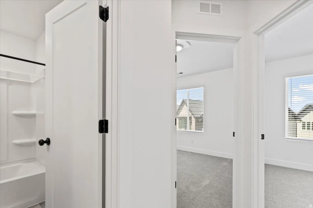 White interior doors with matte black hardware, white walls, and gray carpet
