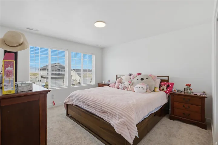 Light-colored carpeting, three windows with blinds, a ceiling-mounted light fixture, and white painted walls