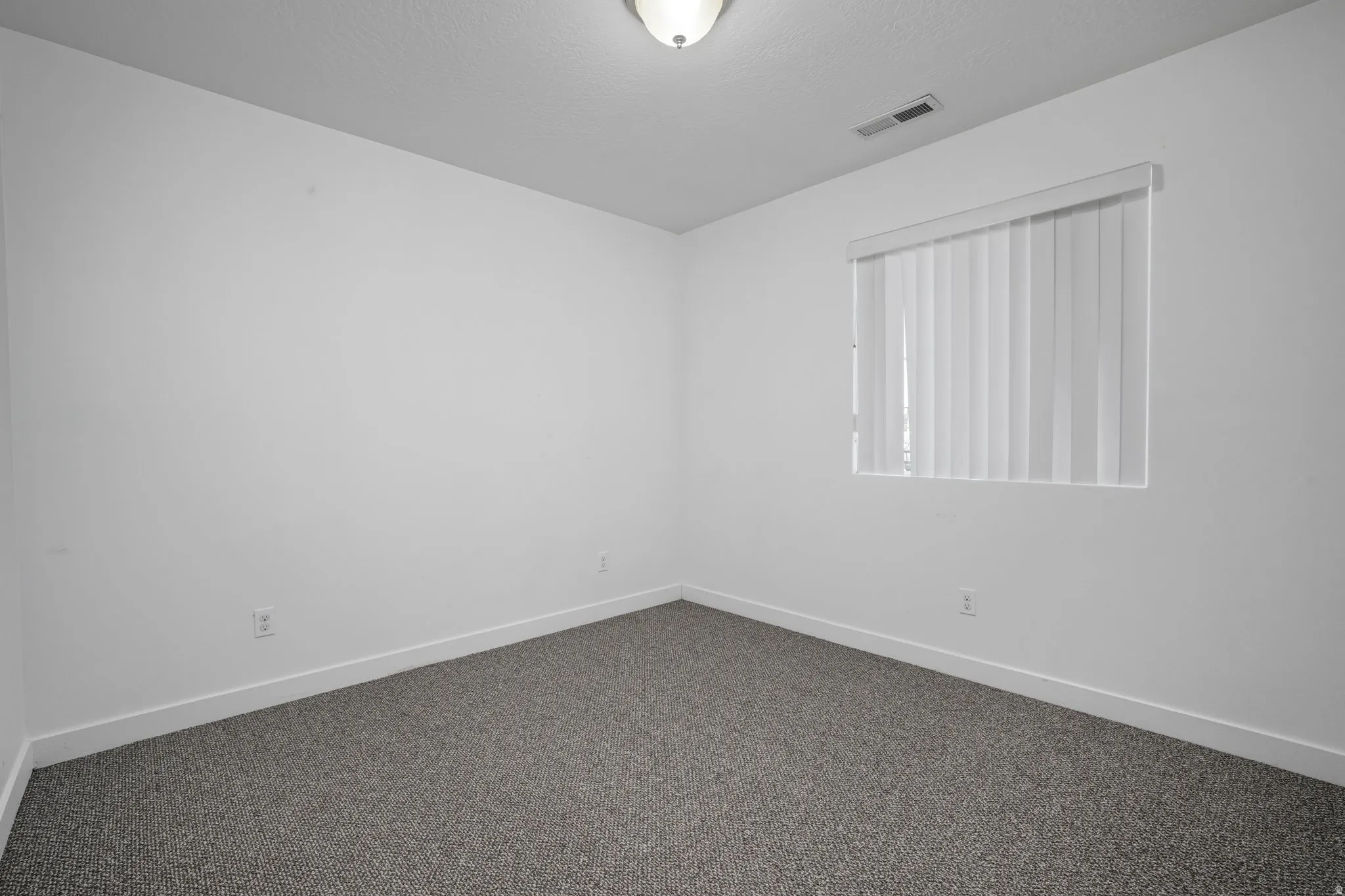 Neutral wall finishes, textured carpeting, and a window with vertical blinds
