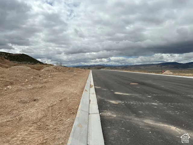 Paved road with concrete curbing bordering an undeveloped lot