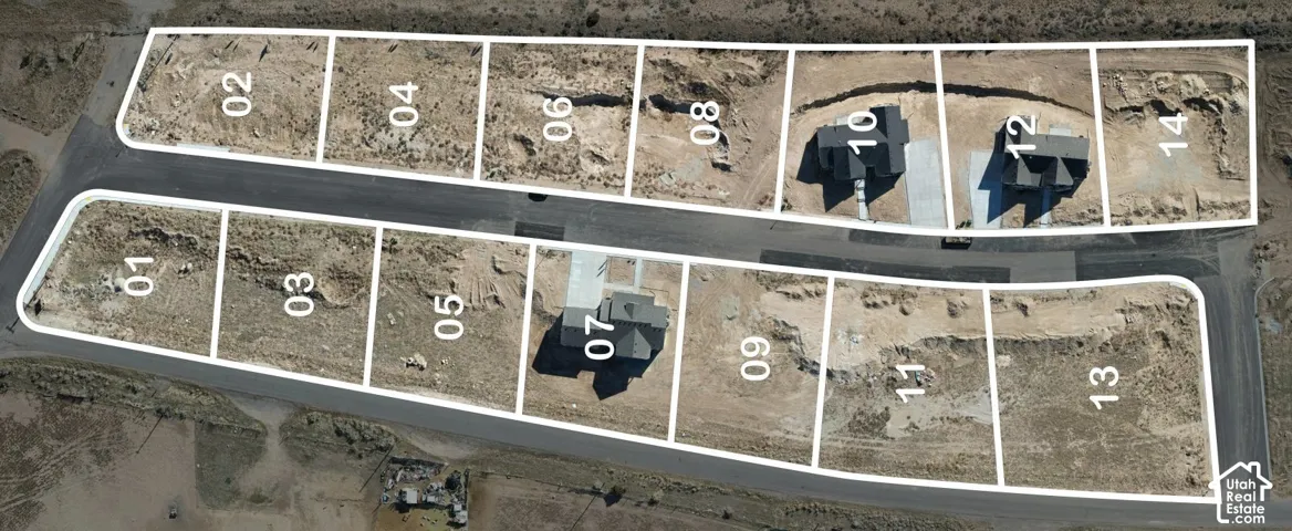 Subdivision Plot Plan. Illustrating the numbered parcels within the property with existing structures on specific lots