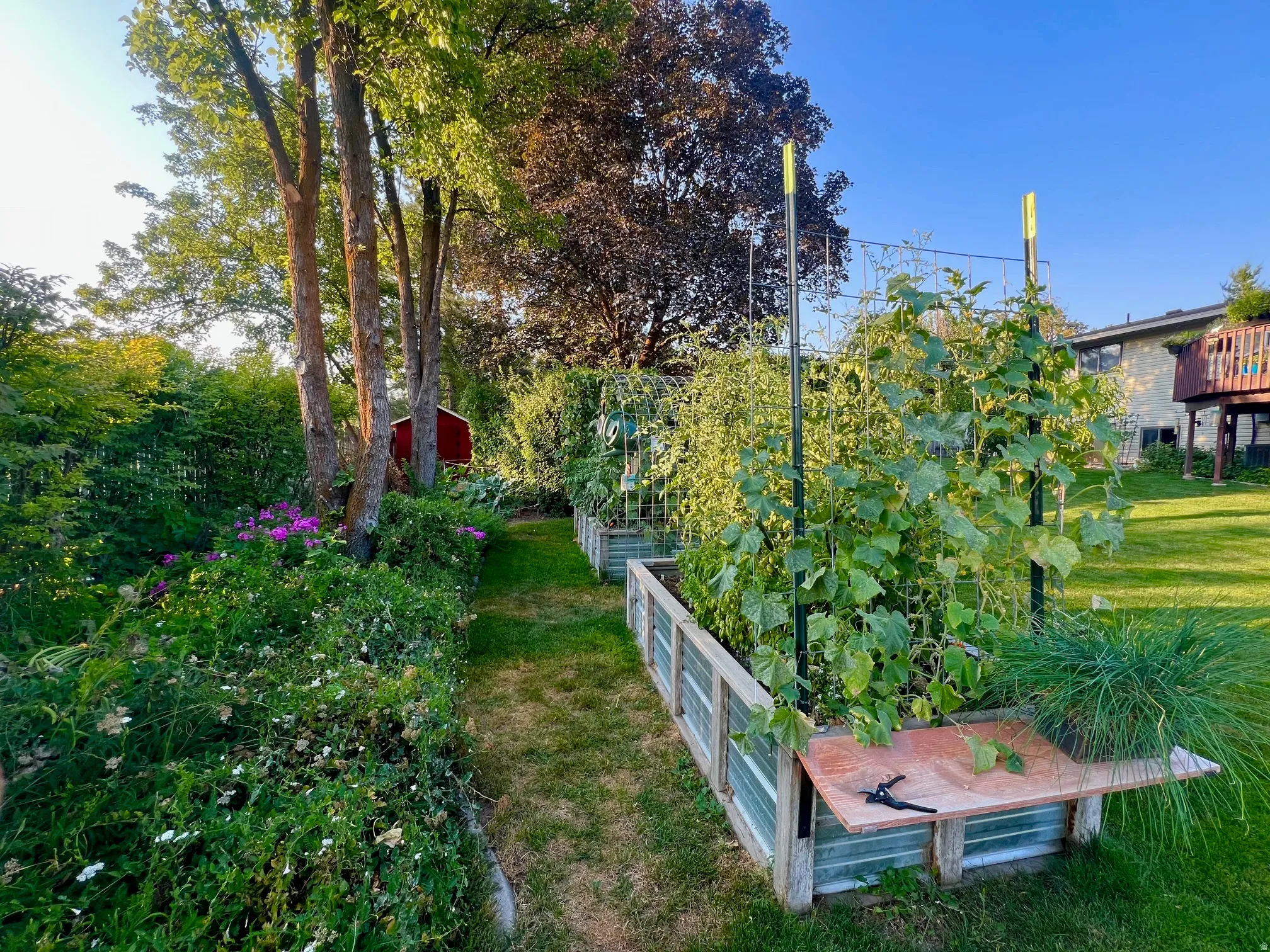 Lush green landscaping with mature trees, multiple raised garden beds, established garden plantings, and a functional garden shed