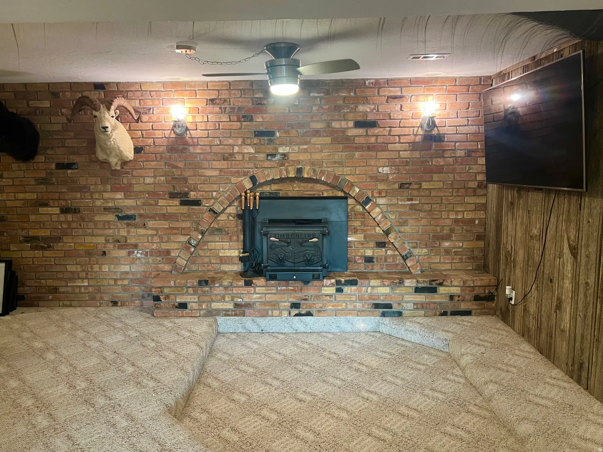 Brick accent wall with an arched fireplace and cast iron stove insert