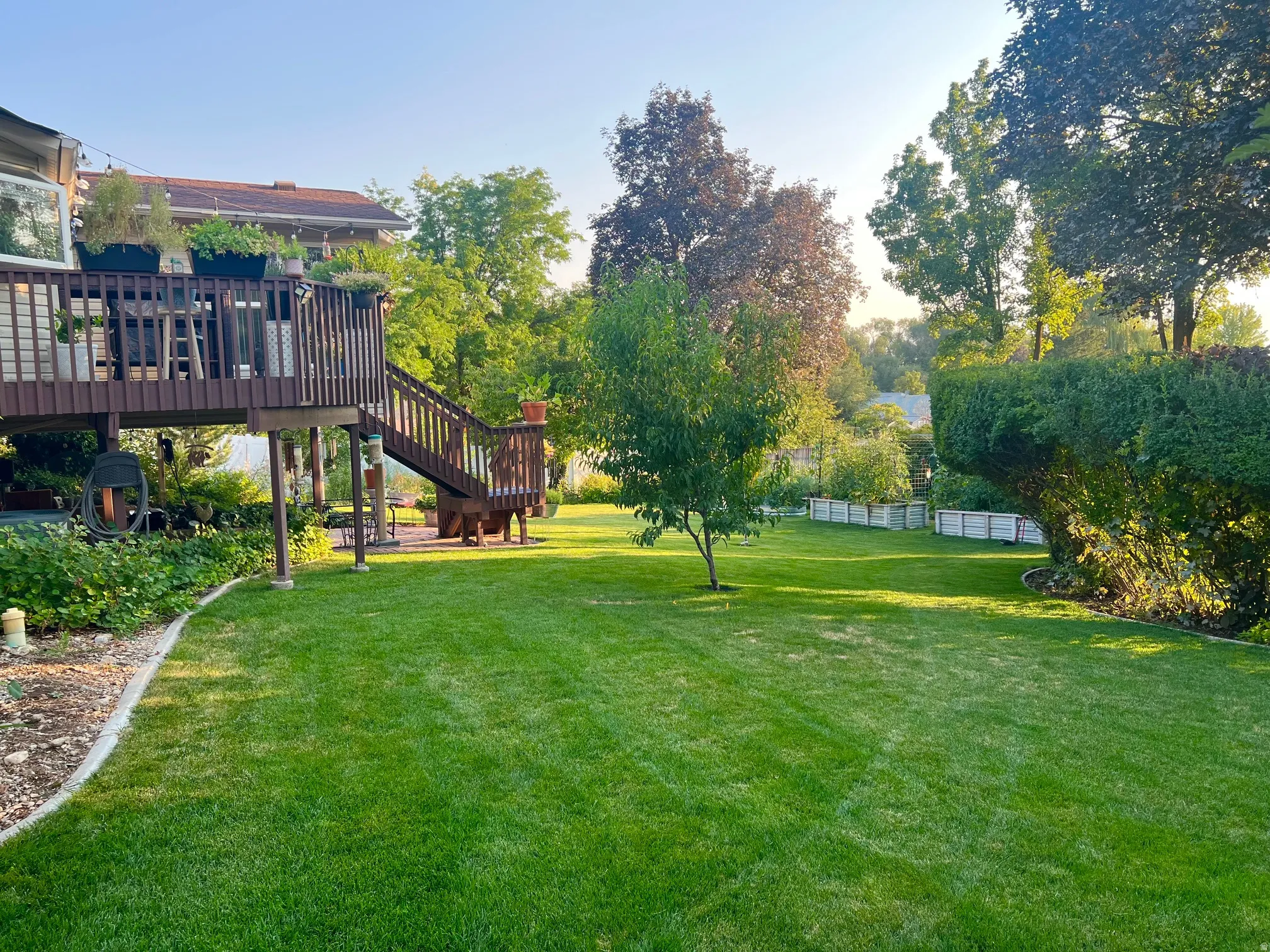 Expansive manicured lawn with mature shade trees and established landscaping borders