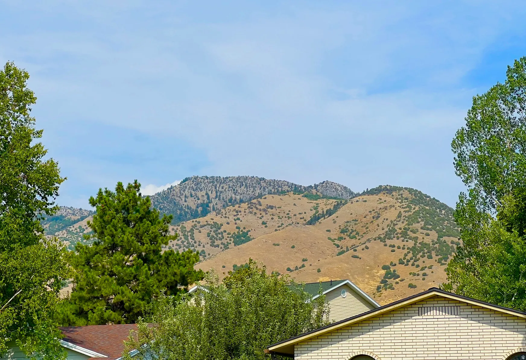 Mountain backdrop with a light-colored brick exterior, arched windows, and a dark shingle roof