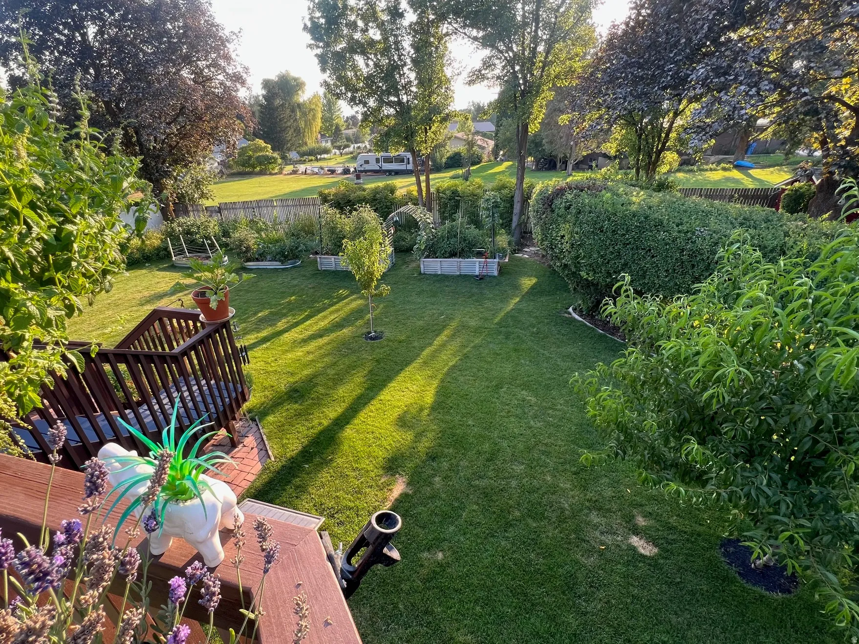 Expansive backyard featuring a manicured lawn, established trees, and raised garden beds