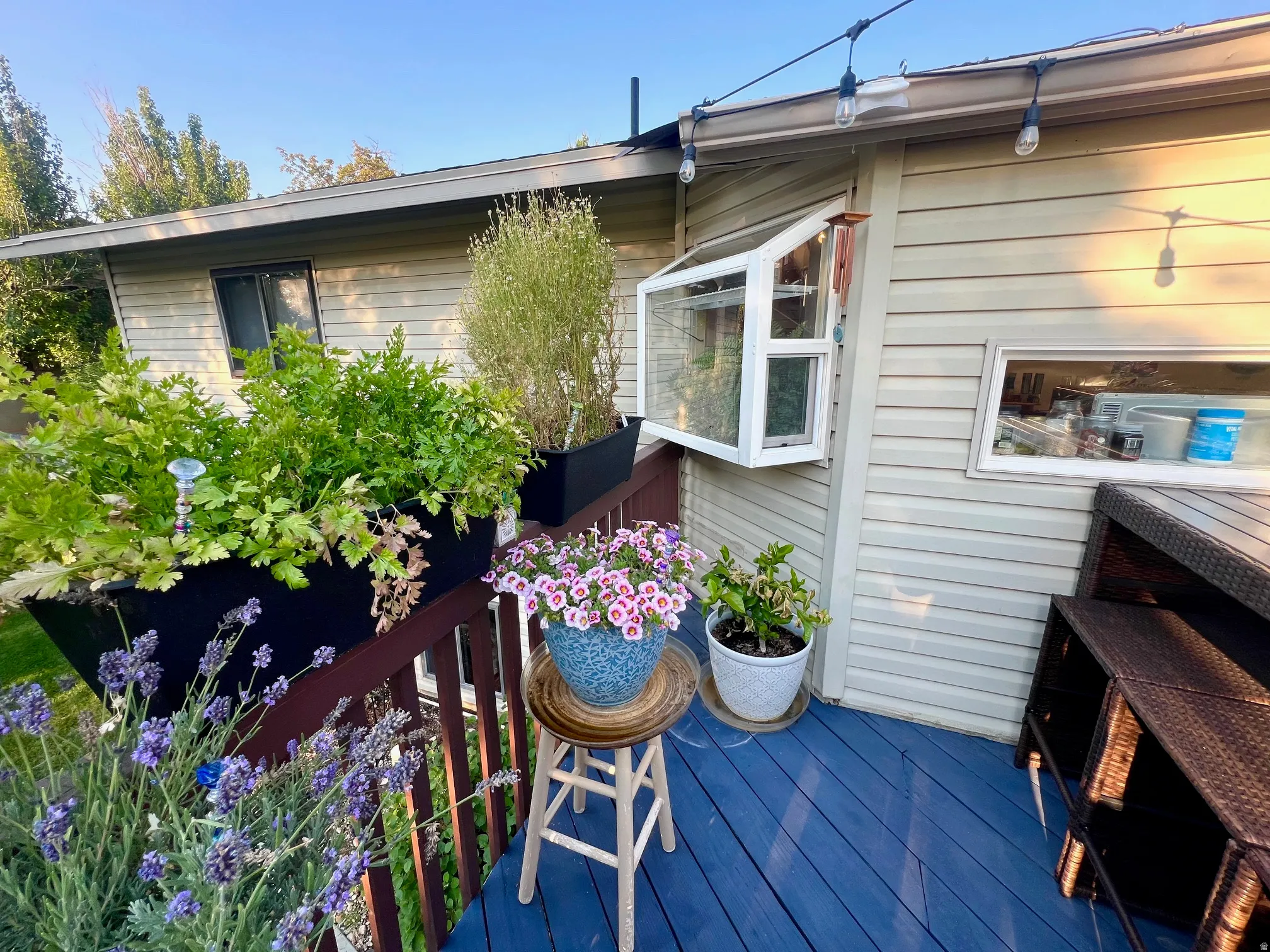 Outdoor deck with blue-painted wood flooring, featuring a wall-mounted greenhouse window box and horizontal vinyl siding