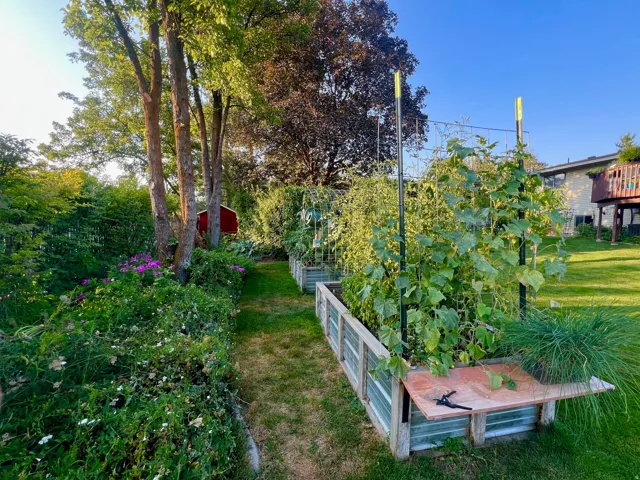 Lush green landscaping with mature trees, multiple raised garden beds, established garden plantings, and a functional garden shed