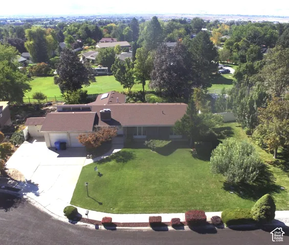 Expansive front yard with manicured lawn, established landscaping, and mature trees