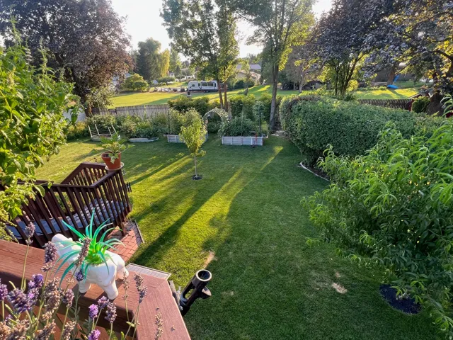 Expansive backyard featuring a manicured lawn, established trees, and raised garden beds
