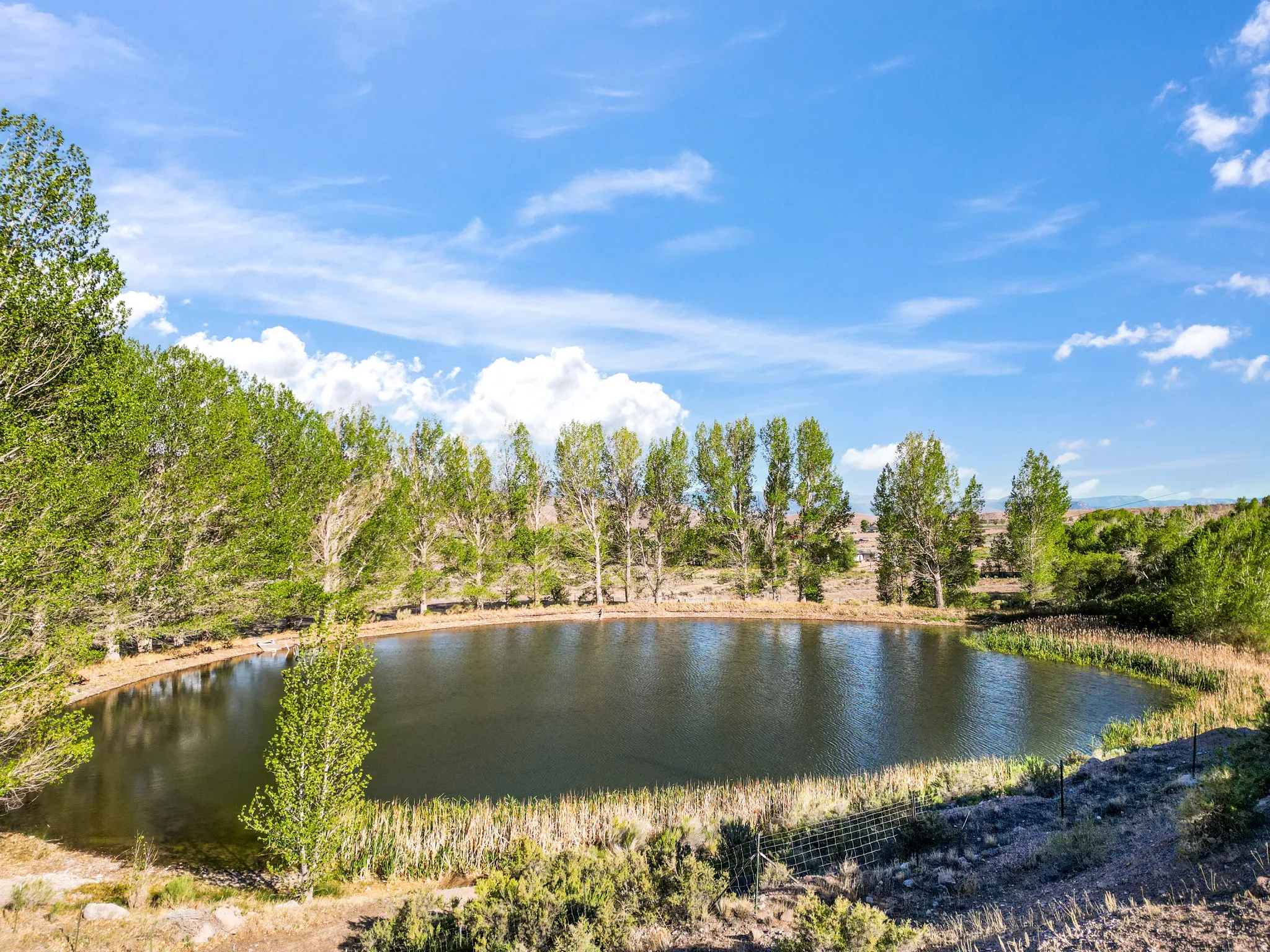 Circular pond with surrounding mature trees and natural landscaping