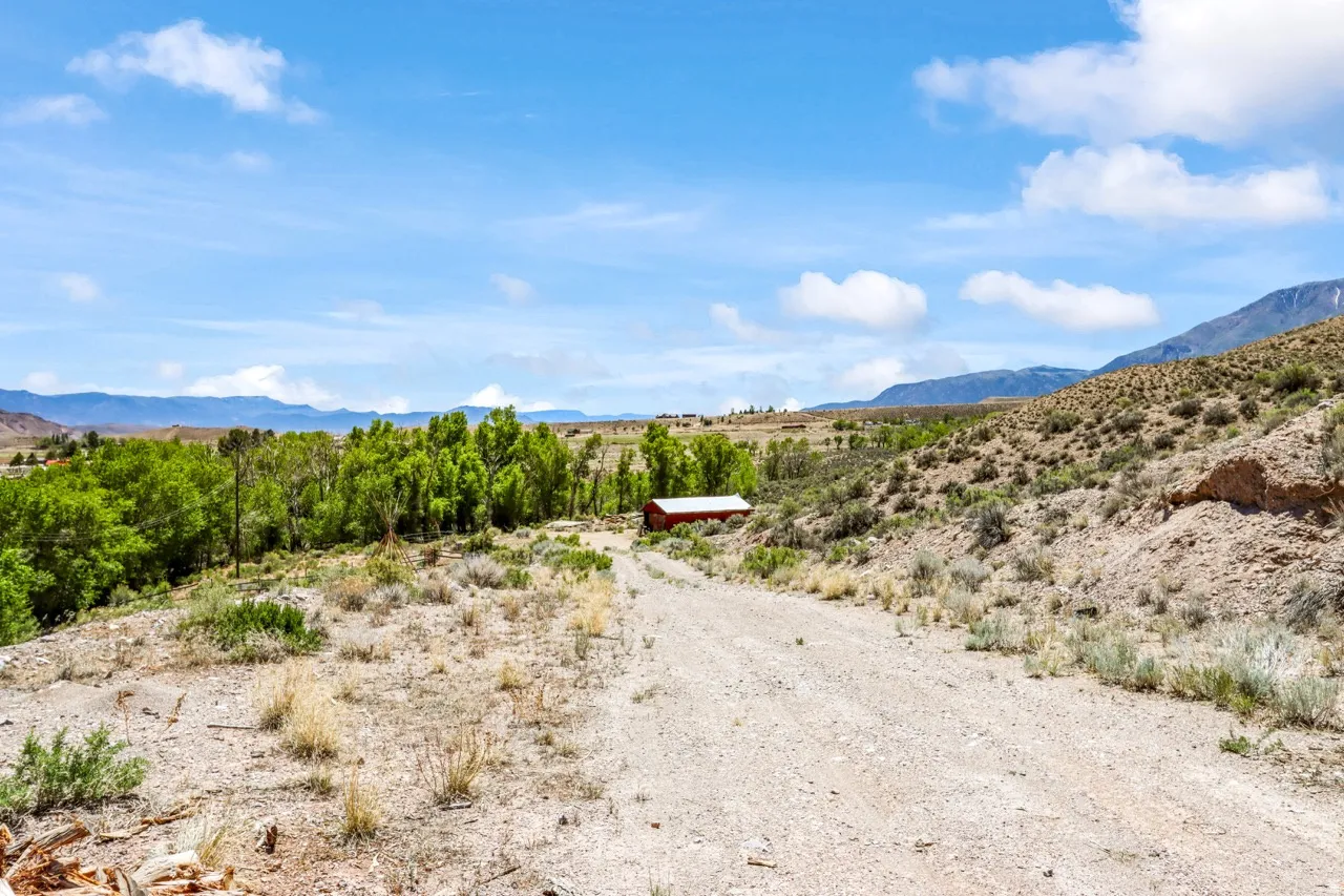 Gravel drive leading to a red barn structure, surrounded by established trees and natural landscaping