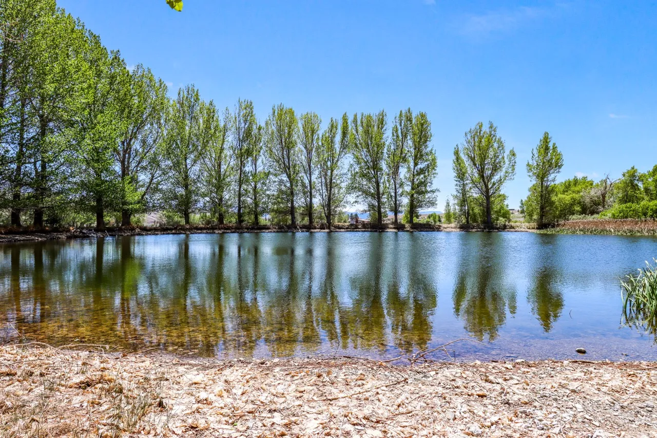 Expansive water feature with natural shoreline and mature trees
