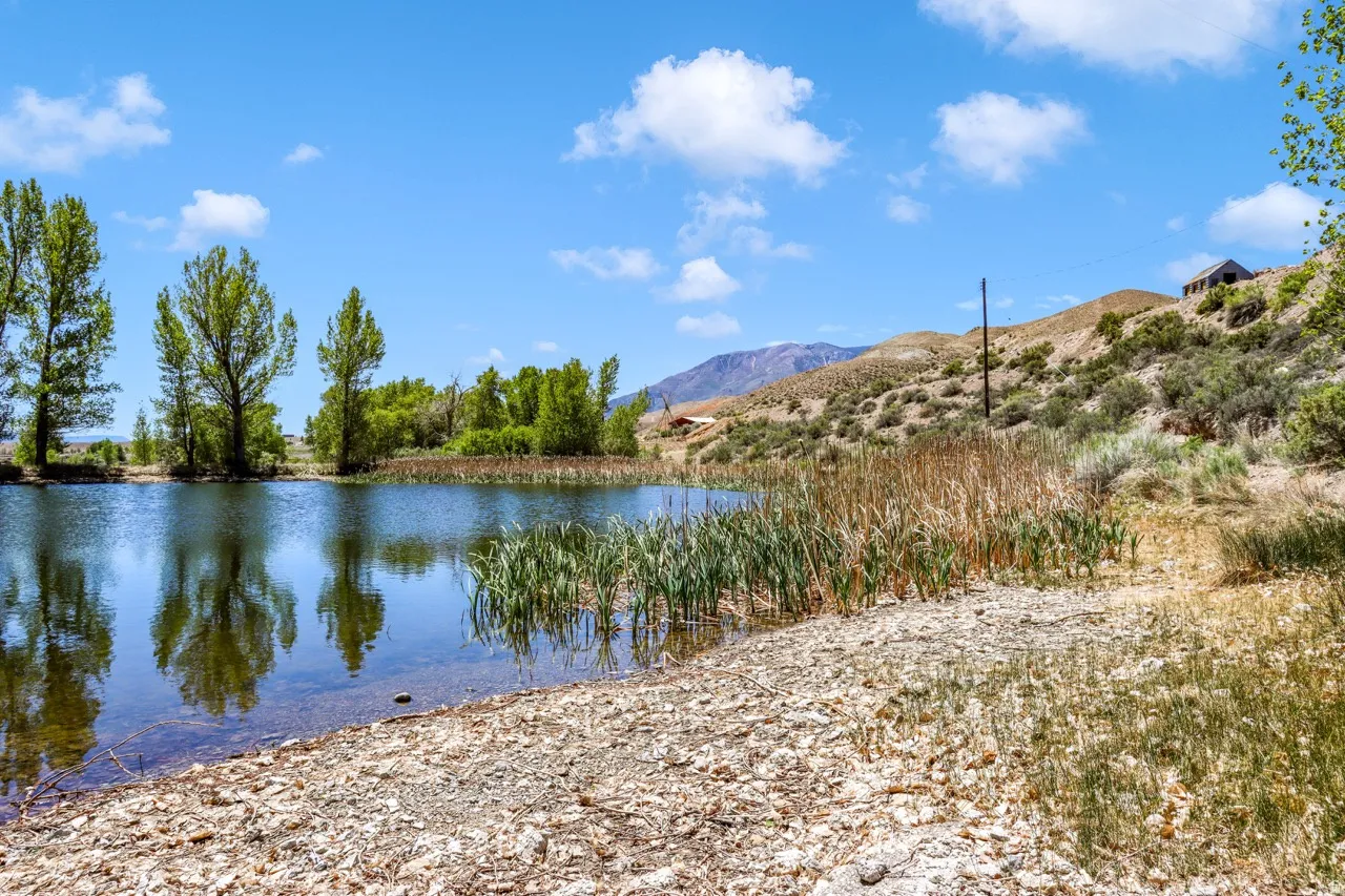 Waterfront property featuring natural landscaping and mature trees