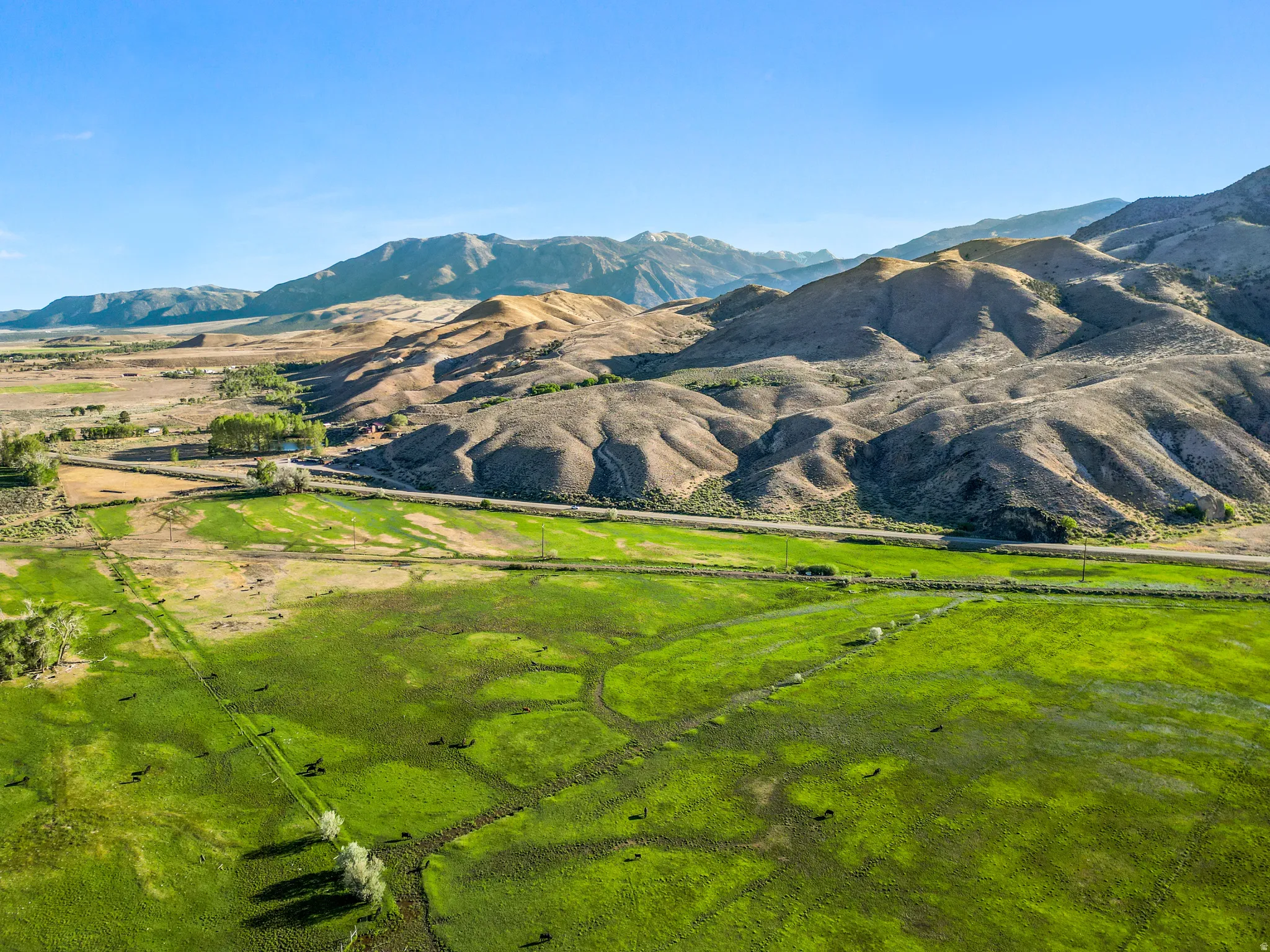 Expansive green fields, natural waterways, and a distinct land boundary with a visible road