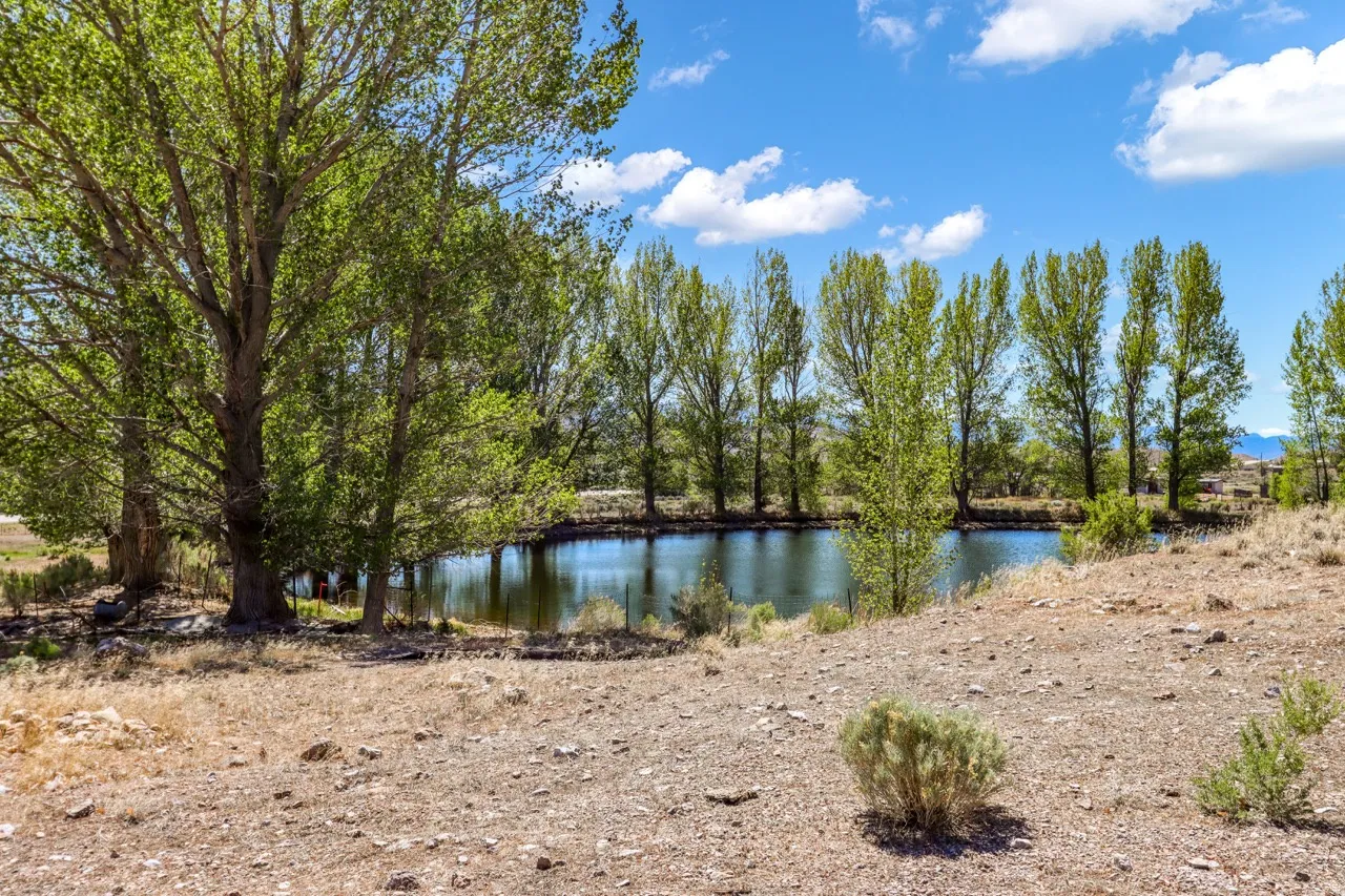 Pond with surrounding mature trees and natural landscaping
