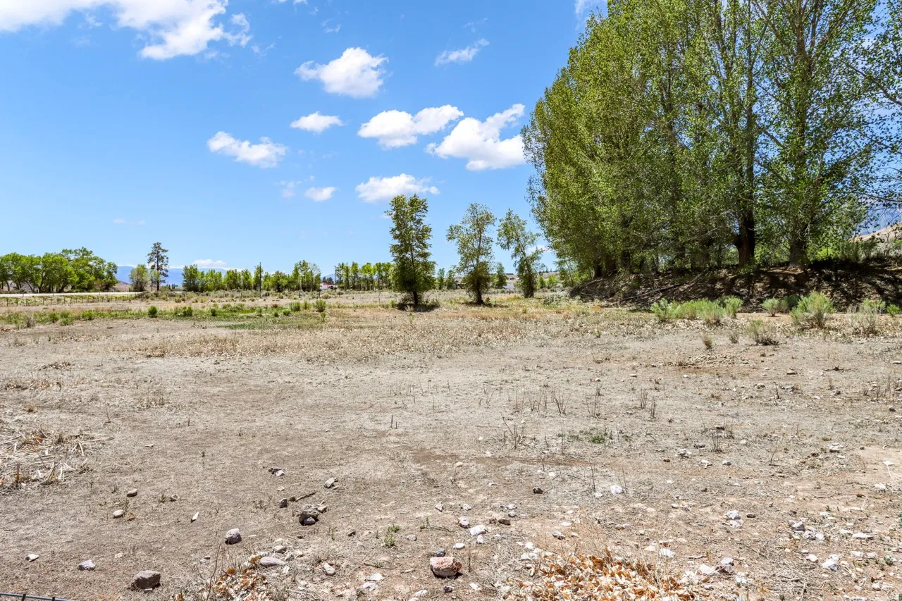 Expansive open land with varied terrain and distant tree lines