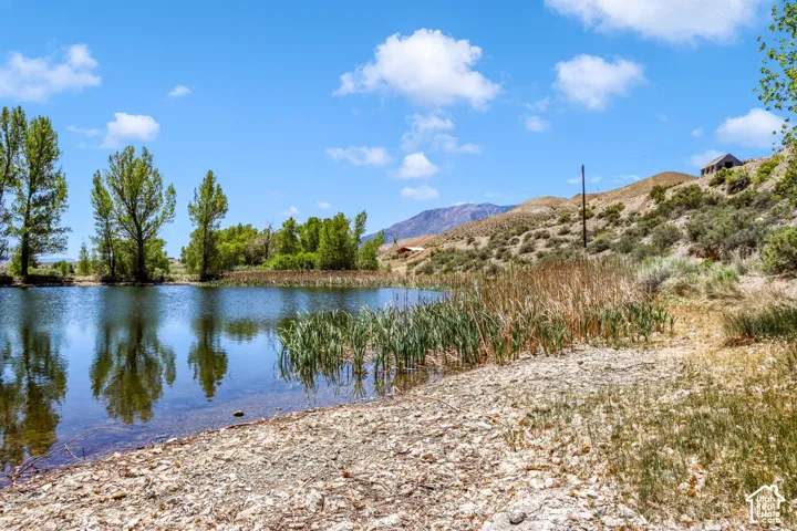 Waterfront property featuring natural landscaping and mature trees