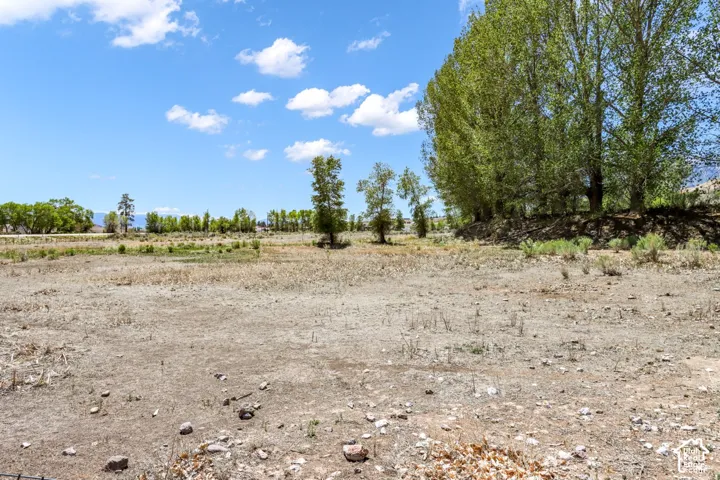 Expansive open land with varied terrain and distant tree lines