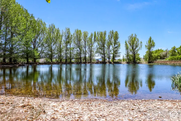 Expansive water feature with natural shoreline and mature trees