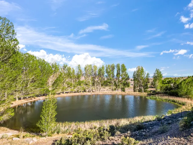 Circular pond with surrounding mature trees and natural landscaping