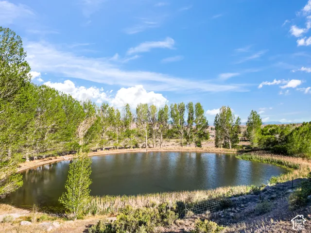 Circular pond with surrounding mature trees and natural landscaping