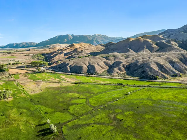 Expansive green fields, natural waterways, and a distinct land boundary with a visible road