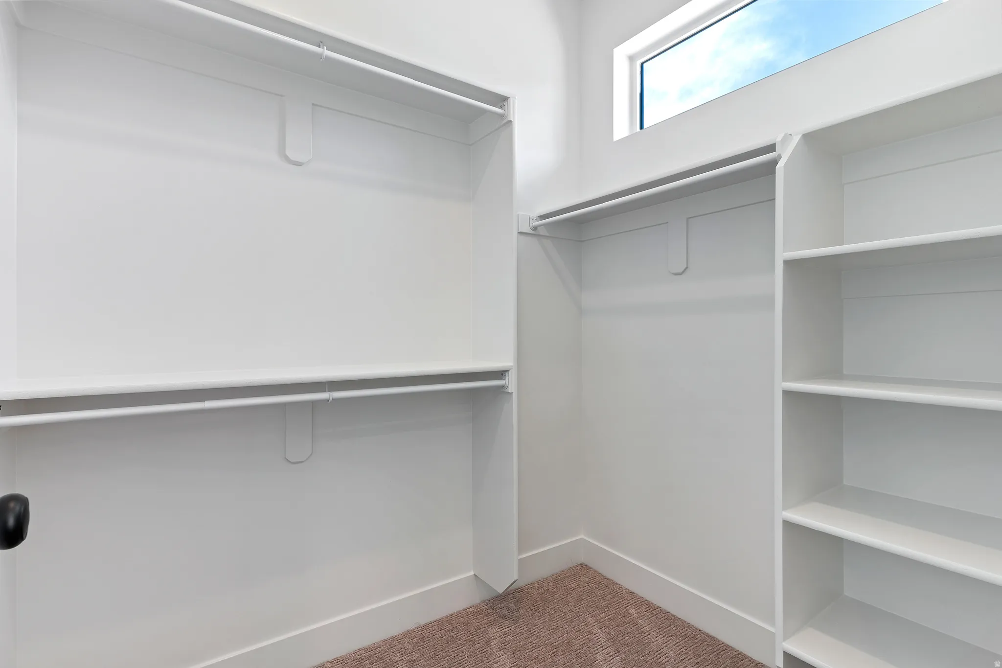 Spacious walk-in closet featuring multiple shelving units, a hanging rod system, and abundant storage capacity with natural light from an overhead window