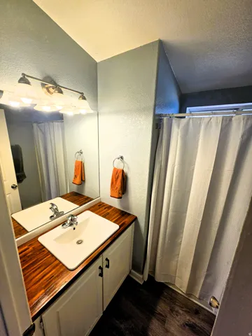 Bathroom featuring a butcher block wood-finish vanity countertop, white cabinet base with dark hardware, rectangular undermount sink, and dark wood-look laminate flooring.