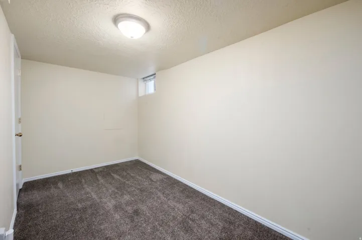 Neutral wall paint, textured ceiling, flush mount ceiling light, and dark carpet flooring